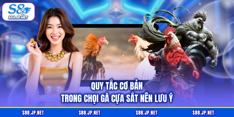 Quy tắc cơ bản trong chọi gà cựa sắt nên lưu ý